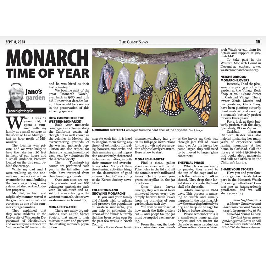 The Coast News: Monarch Time of the Year